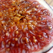 Growing Fig Trees in Containers for Indoor Winter Care | Perfect Plant