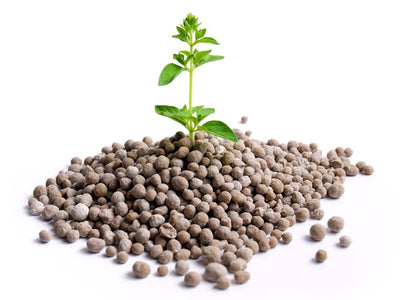 All About Fertilizers