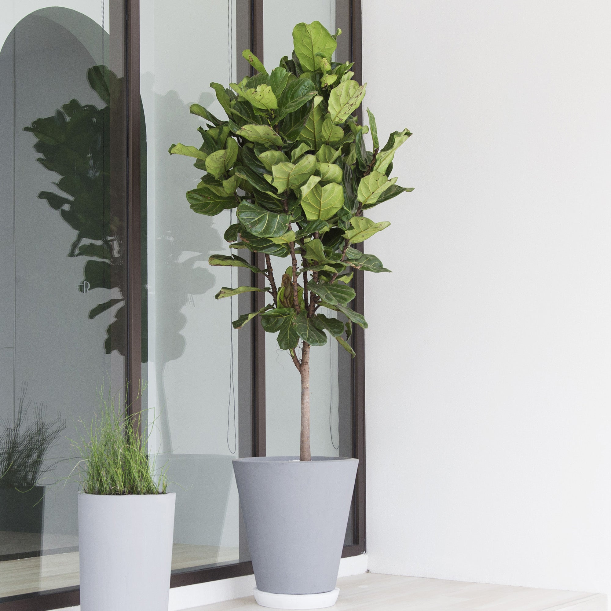 indoor plant pot with stand The Ten Planter With Stand – Pigment main image 1