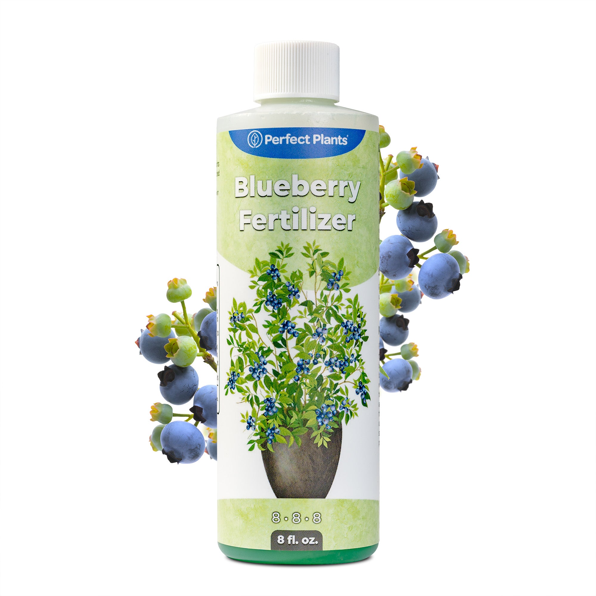 blackberry plant fertilizer Liquid Blueberry Fertilizer - 8 fl oz
