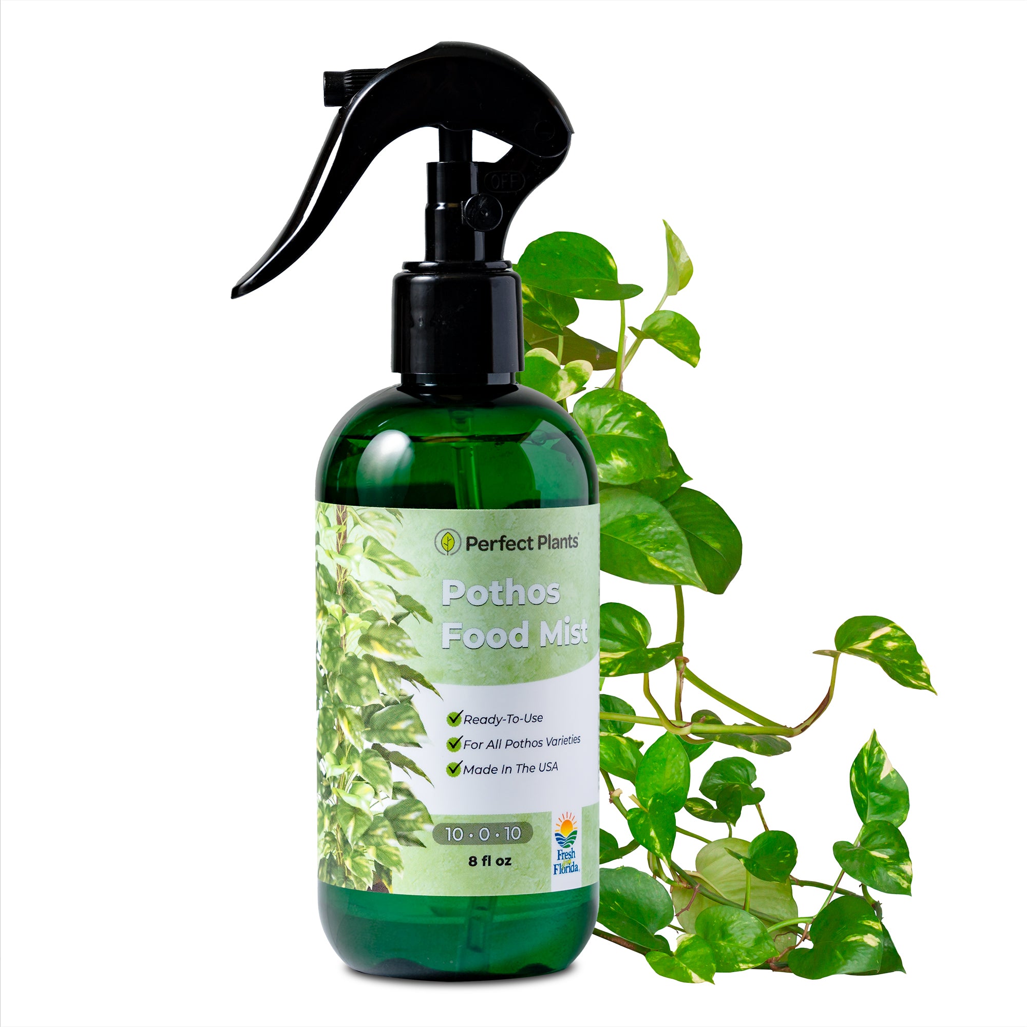 pothos food Liquid Mist Fertilizer for Pothos - 8 fl oz