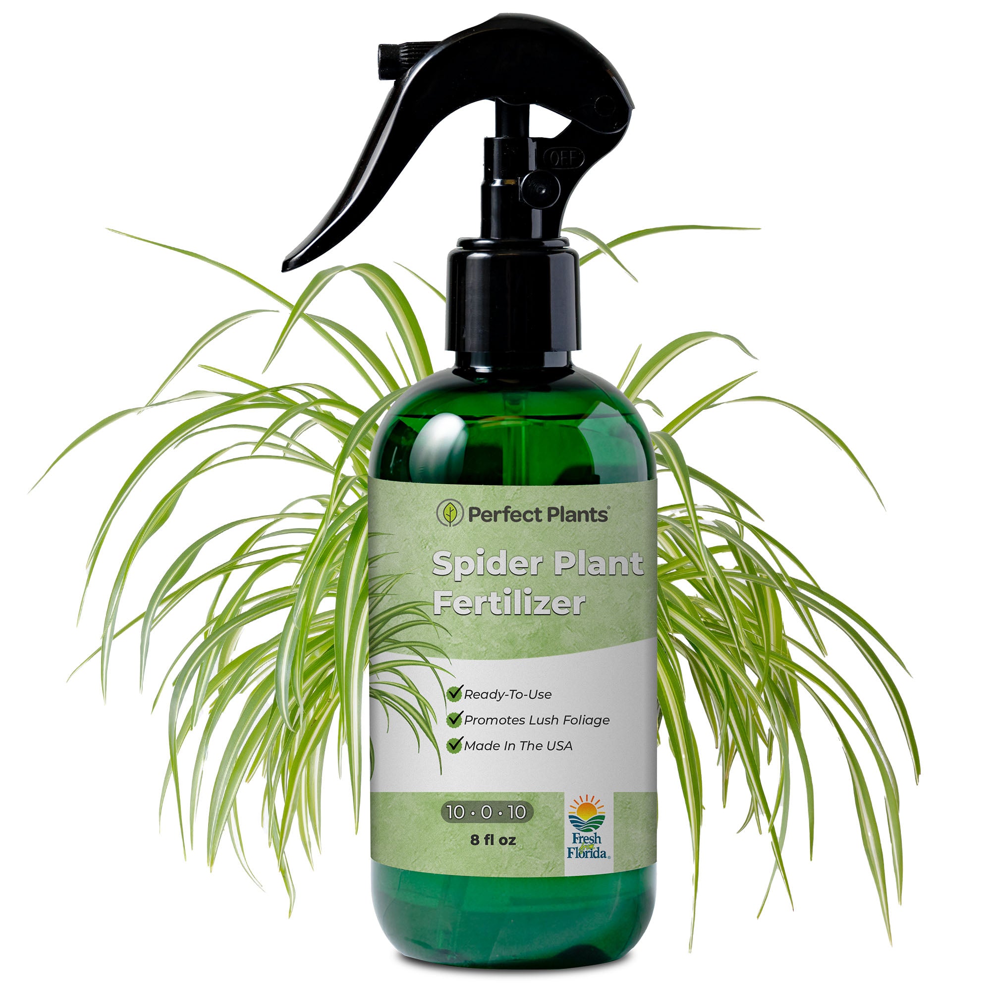 fertilizer for plants shop near me Spider Plant Fertilizer Spray - 8 fl oz