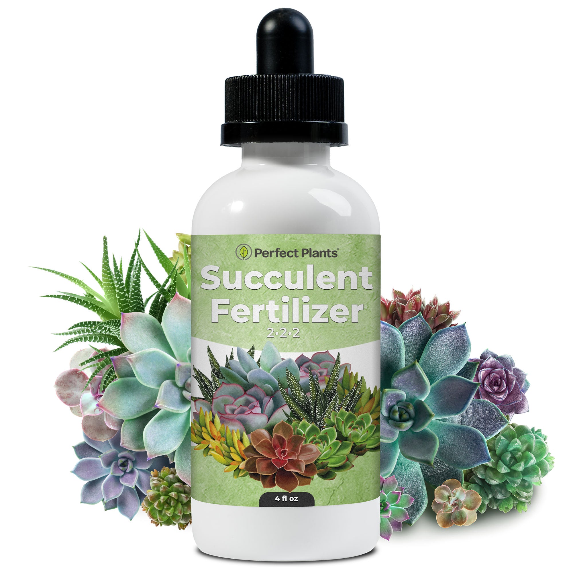 succulent plant fertilizer Succulent Fertilizer Drops - 4 fl oz