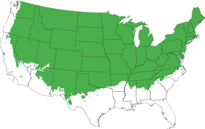 map-img