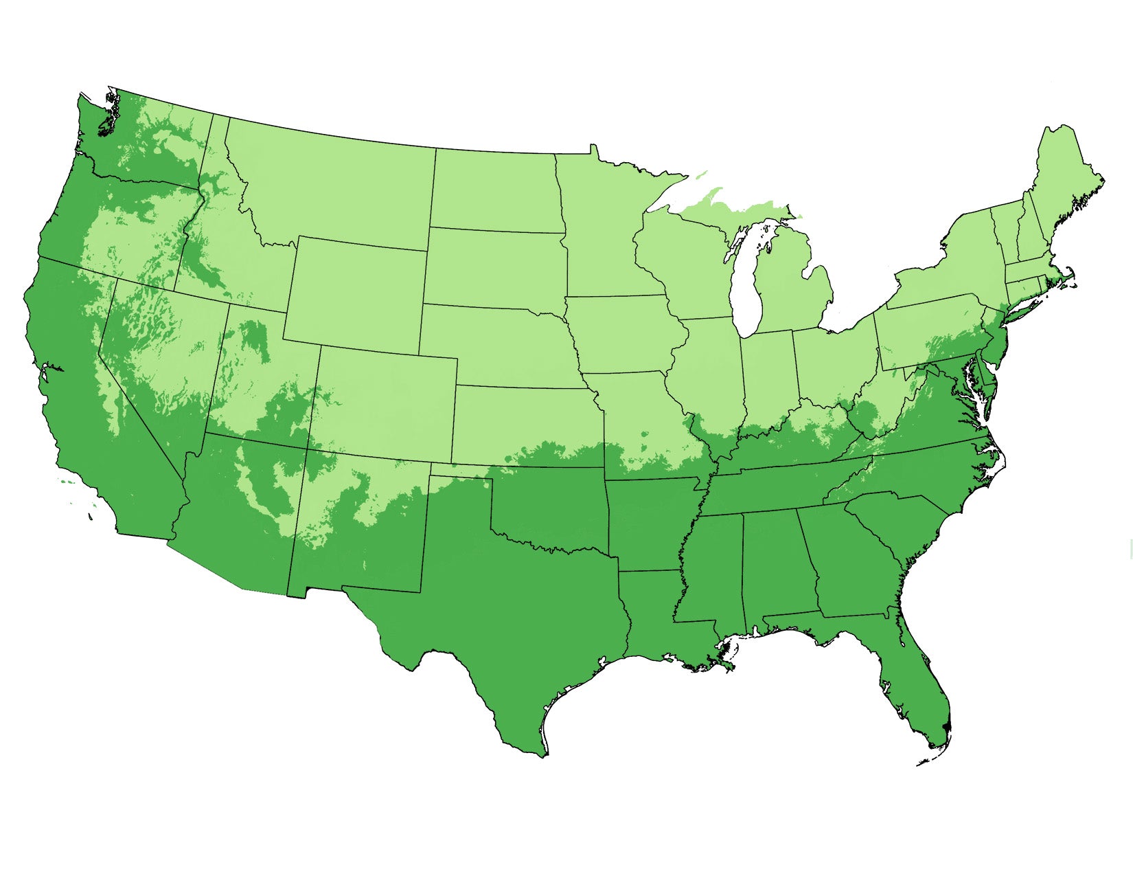 map-img