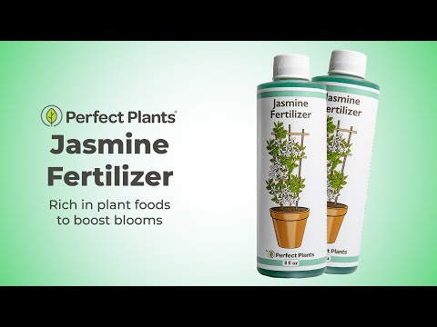 Liquid Jasmine Fertilizer