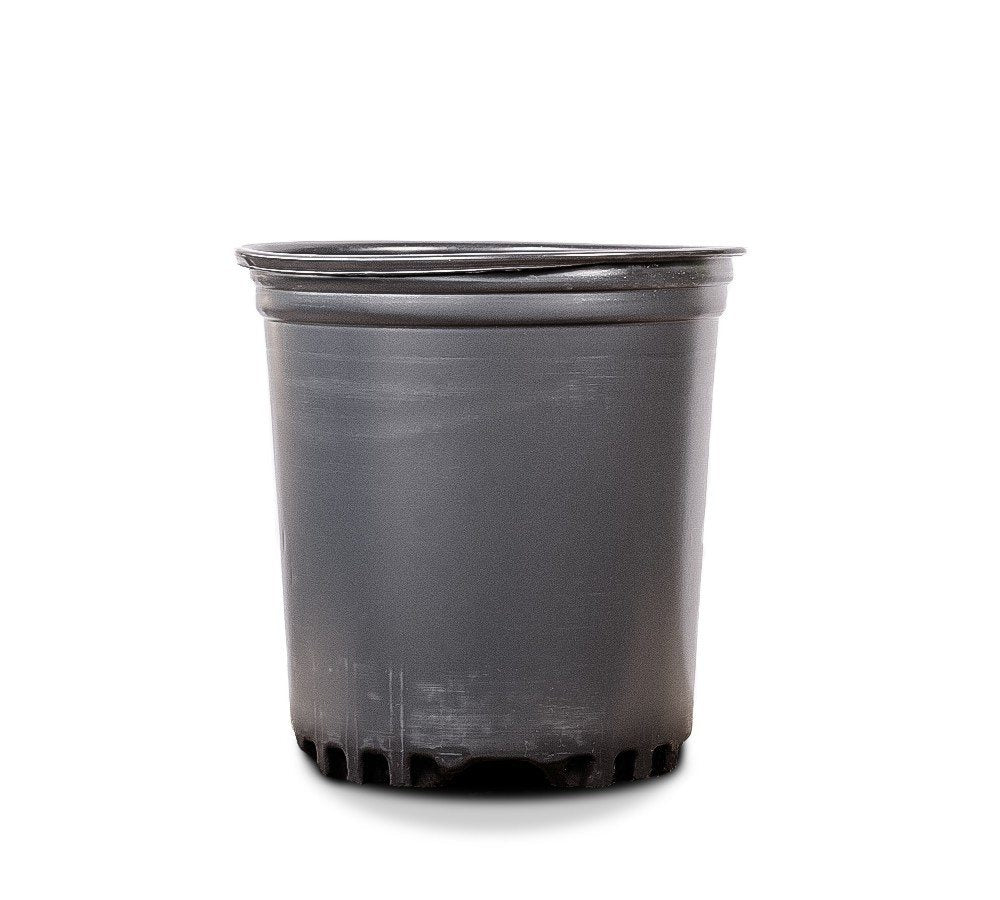 cheap plastic planting pots 1 Gallon Plastic Plant Pots - 25 COUNT