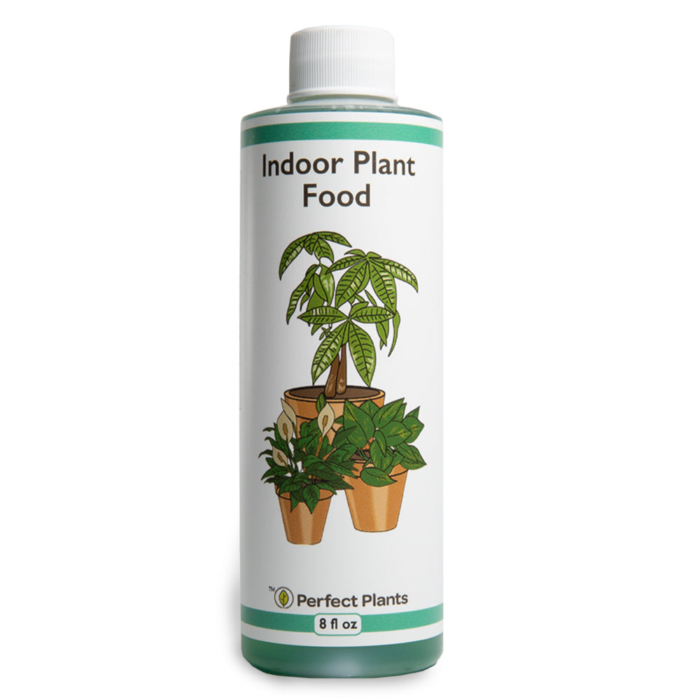 fertilizer for house plants Liquid Houseplant Fertilizer - 8 fl oz