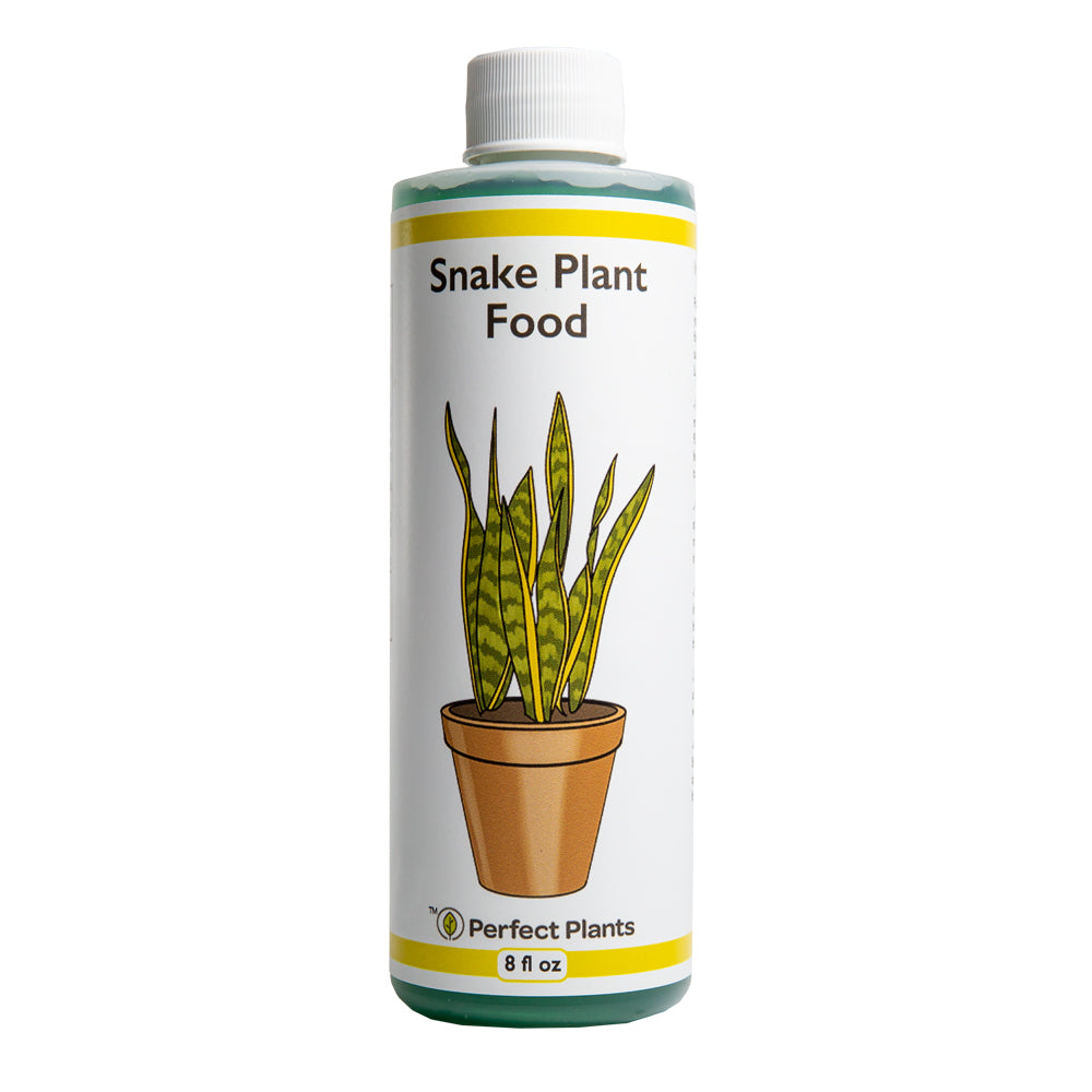 water for snake plant Liquid Fertilizer for Snake Plants