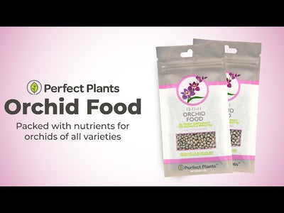 Orchid Food & Fertilizer