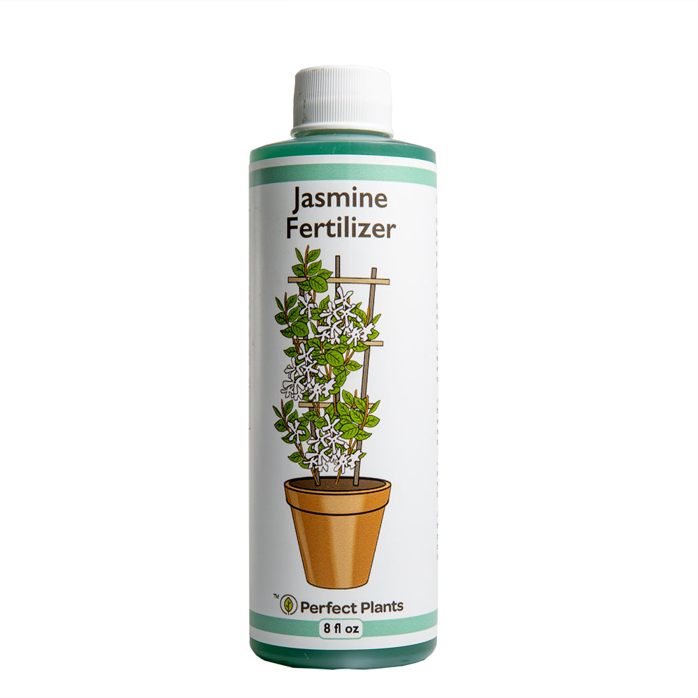 Liquid Jasmine Fertilizer - 8 fl oz