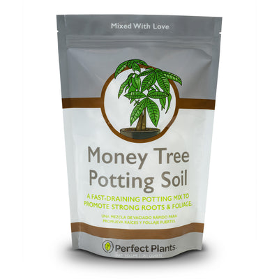 Money Tree Soil Mix