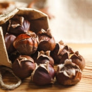 How to Grow a Chestnut Tree In Your Garden