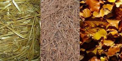 How to Use Mulch in Your Garden