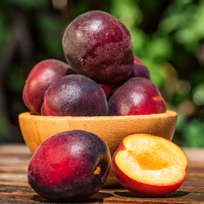 Why are there no plums on my tree?