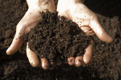 Perfect Soil Ph = Perfect Plants