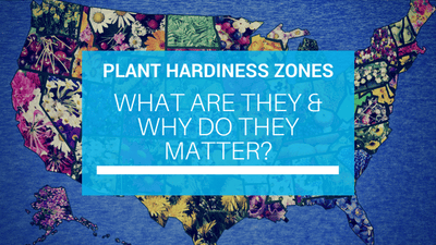 Plant Hardiness Zones