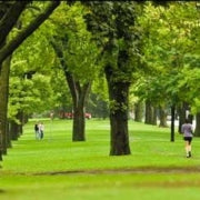 Curb Appeal: How Trees Can Increase Your Home Value