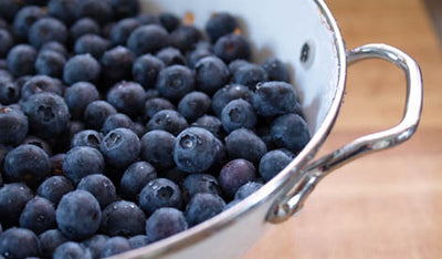 ’Tis the Season! Blueberry Picking Season that is.