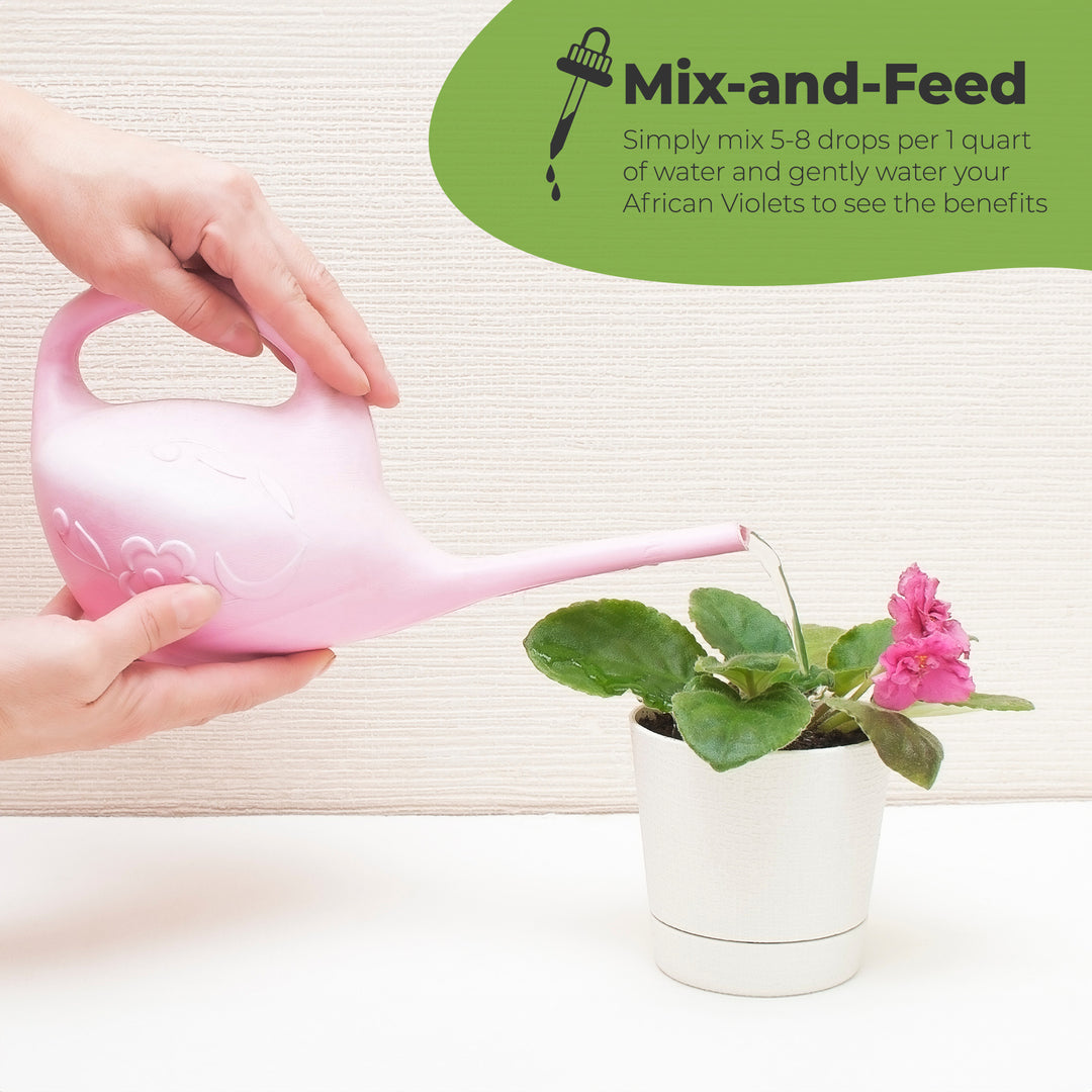 you plant 30 african violet seeds African Violet Fertilizer - 4 fl oz