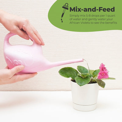 African Violet Fertilizer