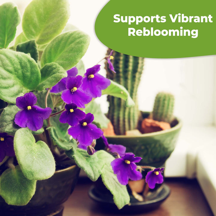 can african violet fertilizer be used for other plants African Violet Fertilizer - 4 fl oz