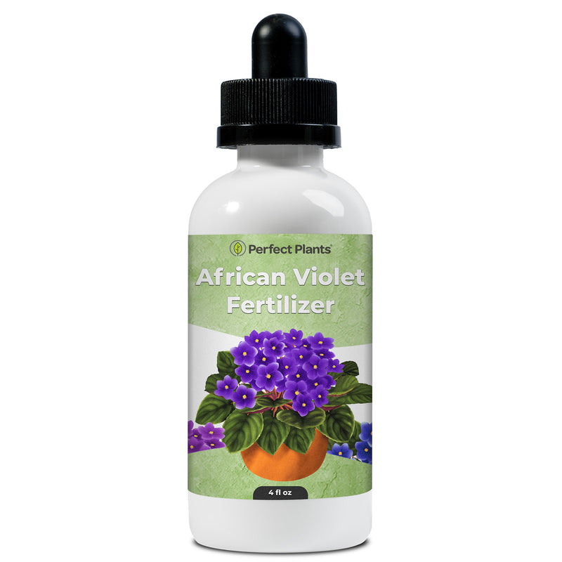 African Violet Fertilizer