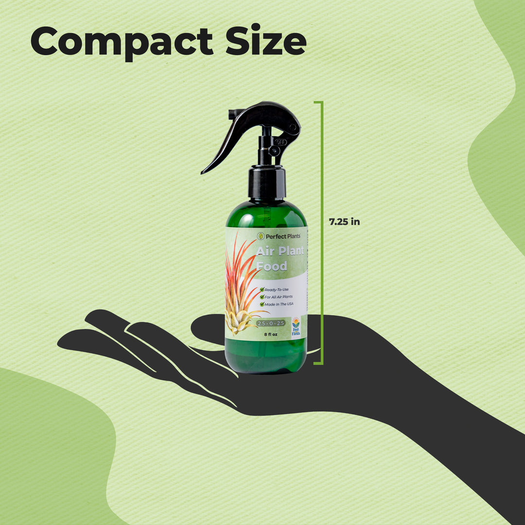 Buy Air Plant Fertilizer for Sale | Air Plant Food