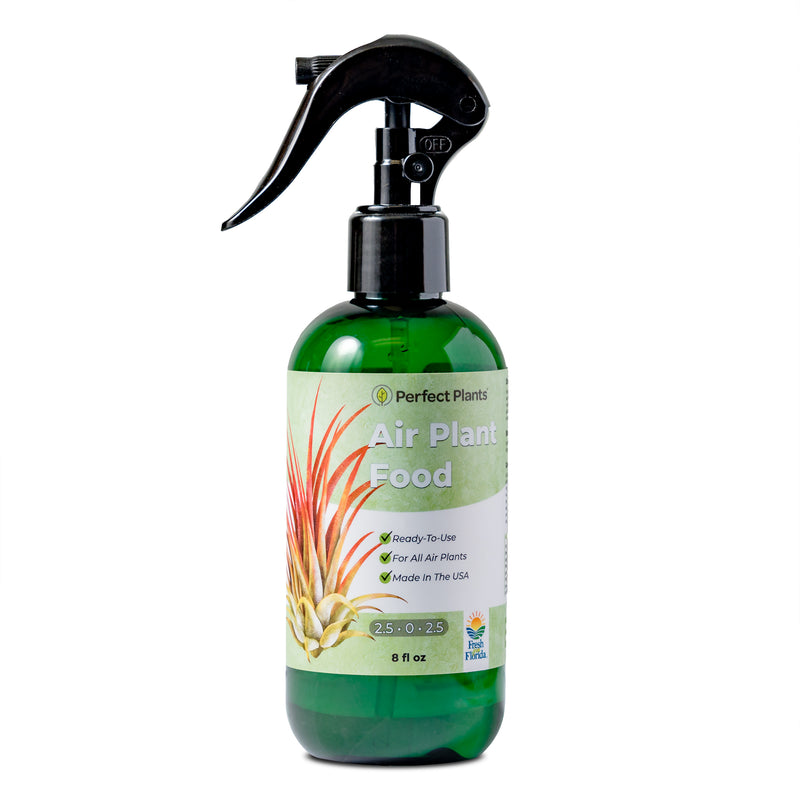 air plant fertiliser Buy Air Plant Fertilizer for Sale | Air Plant Food