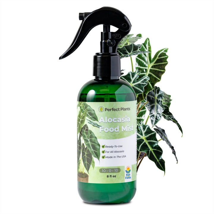 misting plants with fertilizer Alocasia Fertilizer Mist - 8 fl oz