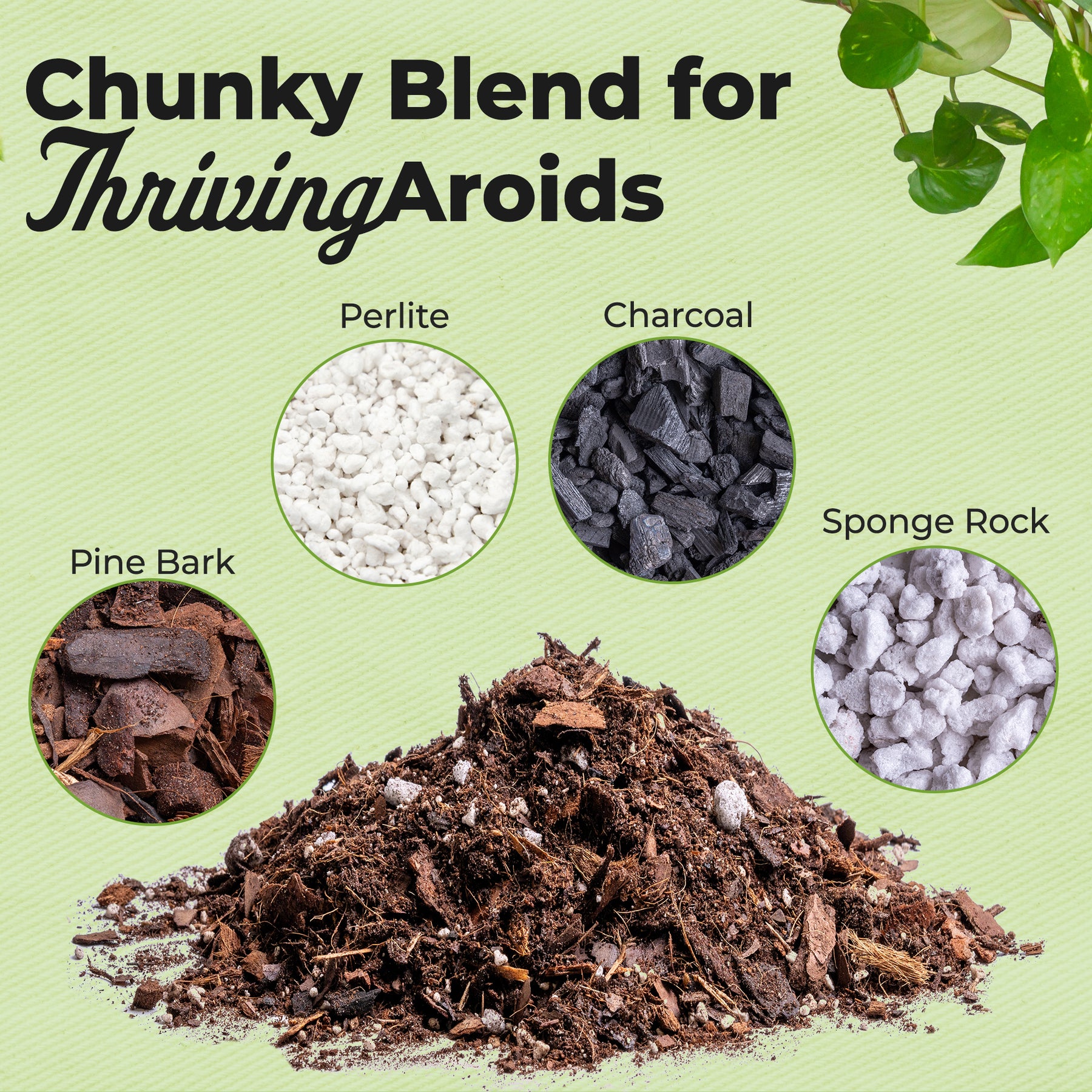 Aroid Mix Aroid Soil Mix | Best Aroid Soil Mix | Perfect Plants