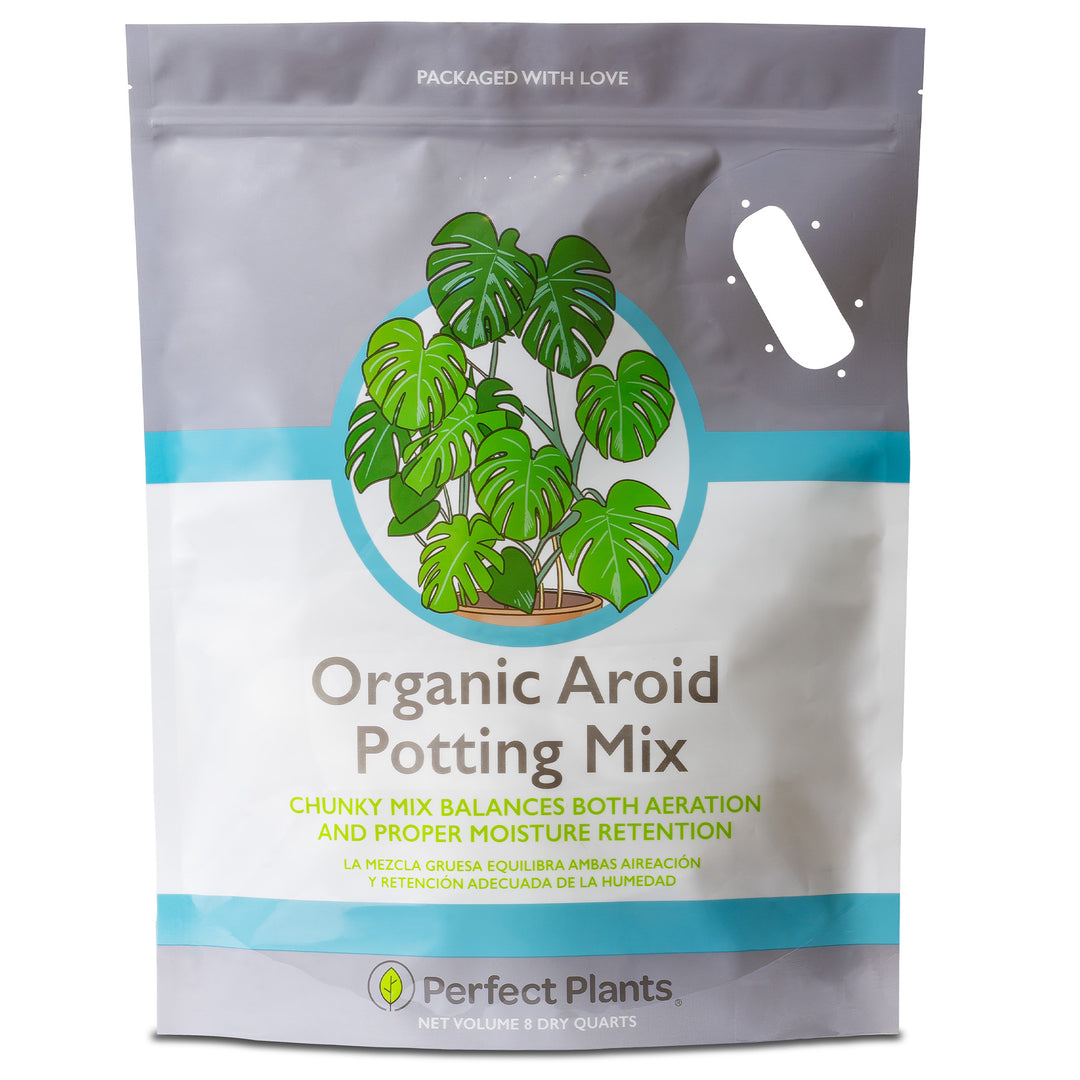 potting mix cost Aroid Soil Mix | Best Aroid Soil Mix