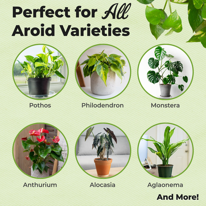 aroid mix for philodendron Aroid Potting Mix - 8 Quart