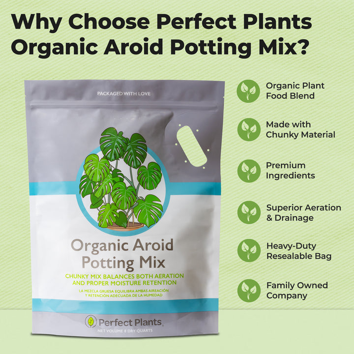 best aroid potting mix Aroid Potting Mix - 8 Quart