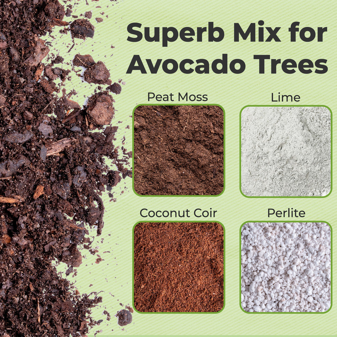 Buy Avocado Potting Soil for Sale | Perfect Plants