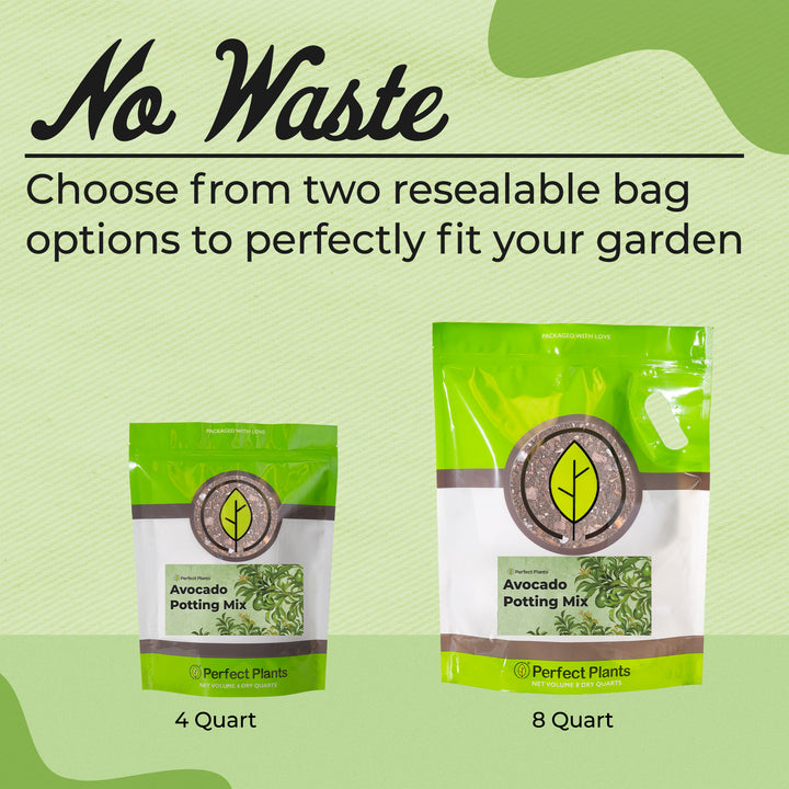 potting mix for avocado plant Buy Avocado Potting Soil for Sale