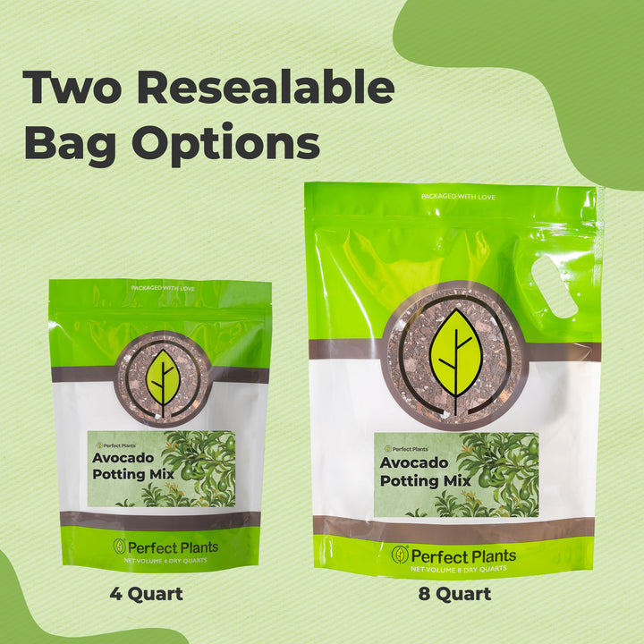 avocado tree potting mix Buy Avocado Potting Soil for Sale