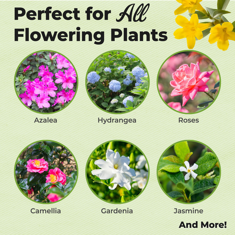 Bloom Booster Flower Fuel