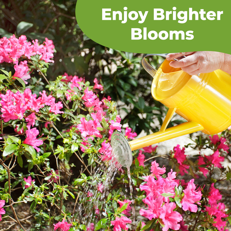Bloom Booster Flower Fuel
