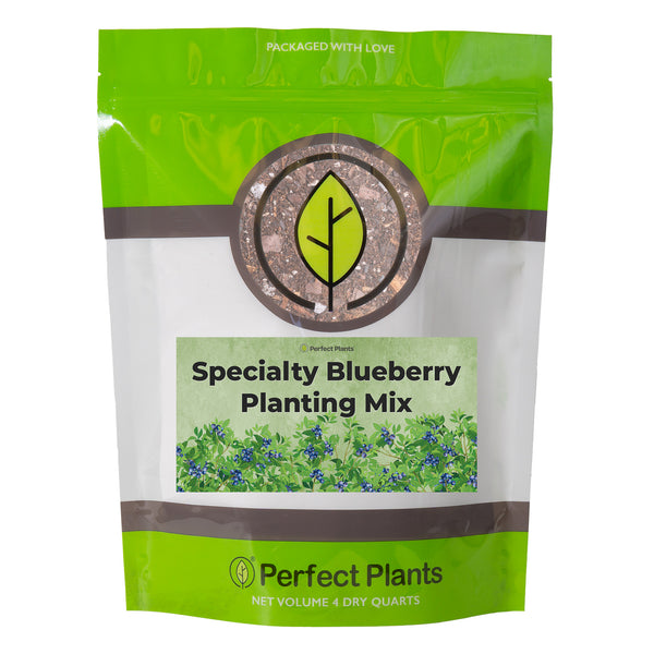 diy blueberry potting mix Buy Blueberry Soil Mix for Sale