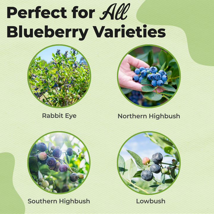 potting mix for blueberries in containers Blueberry Soil Mix - 4 Quart