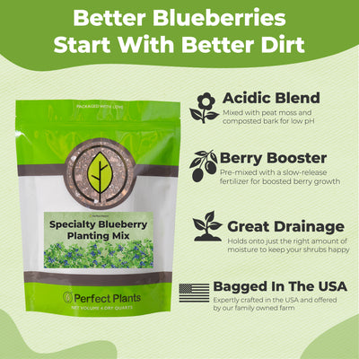 Blueberry Soil Mix