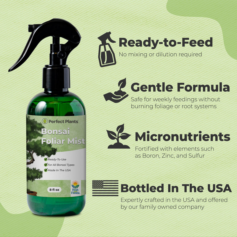 insecticide for bonsai tree Bonsai Fertilizer Spray for Sale
