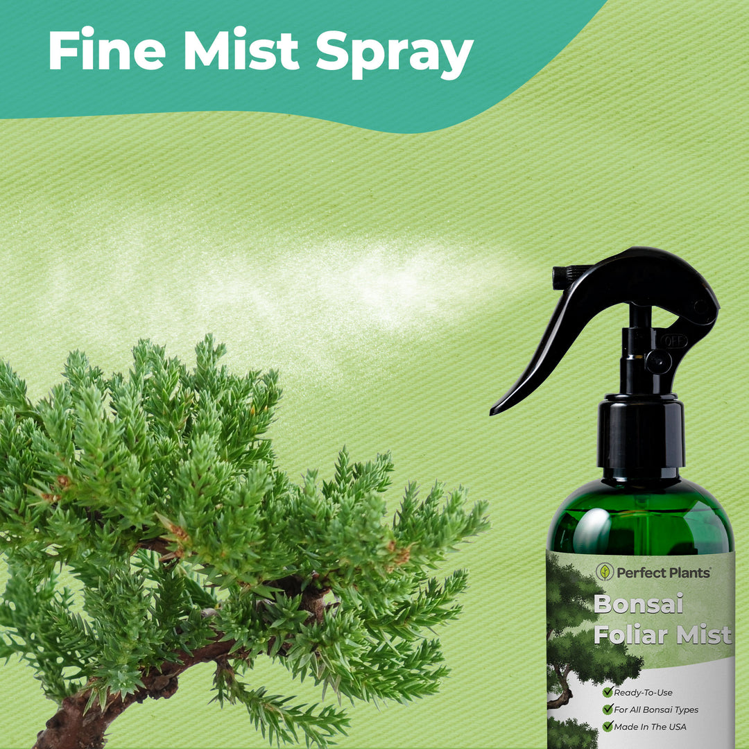 Bonsai Fertilizer Spray for Sale