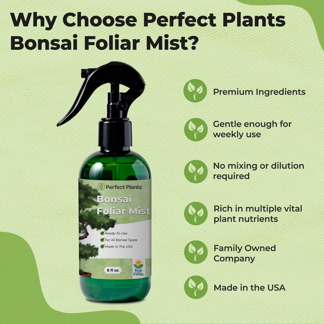 Bonsai Fertilizer Spray for Sale