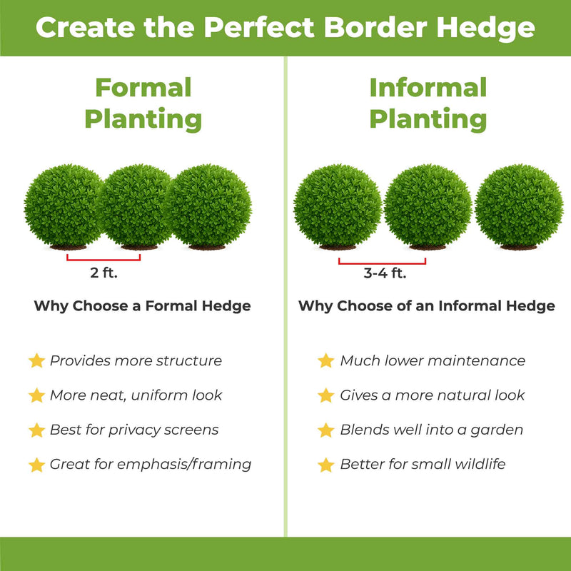 Comparison chart of formal and informal hedge plantings with wintergreen boxwoods with green text and icons