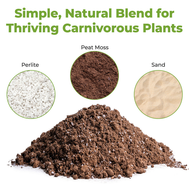 pitcher plant potting soil Organic Carnivorous Plant Soil Mix - 4 Quart