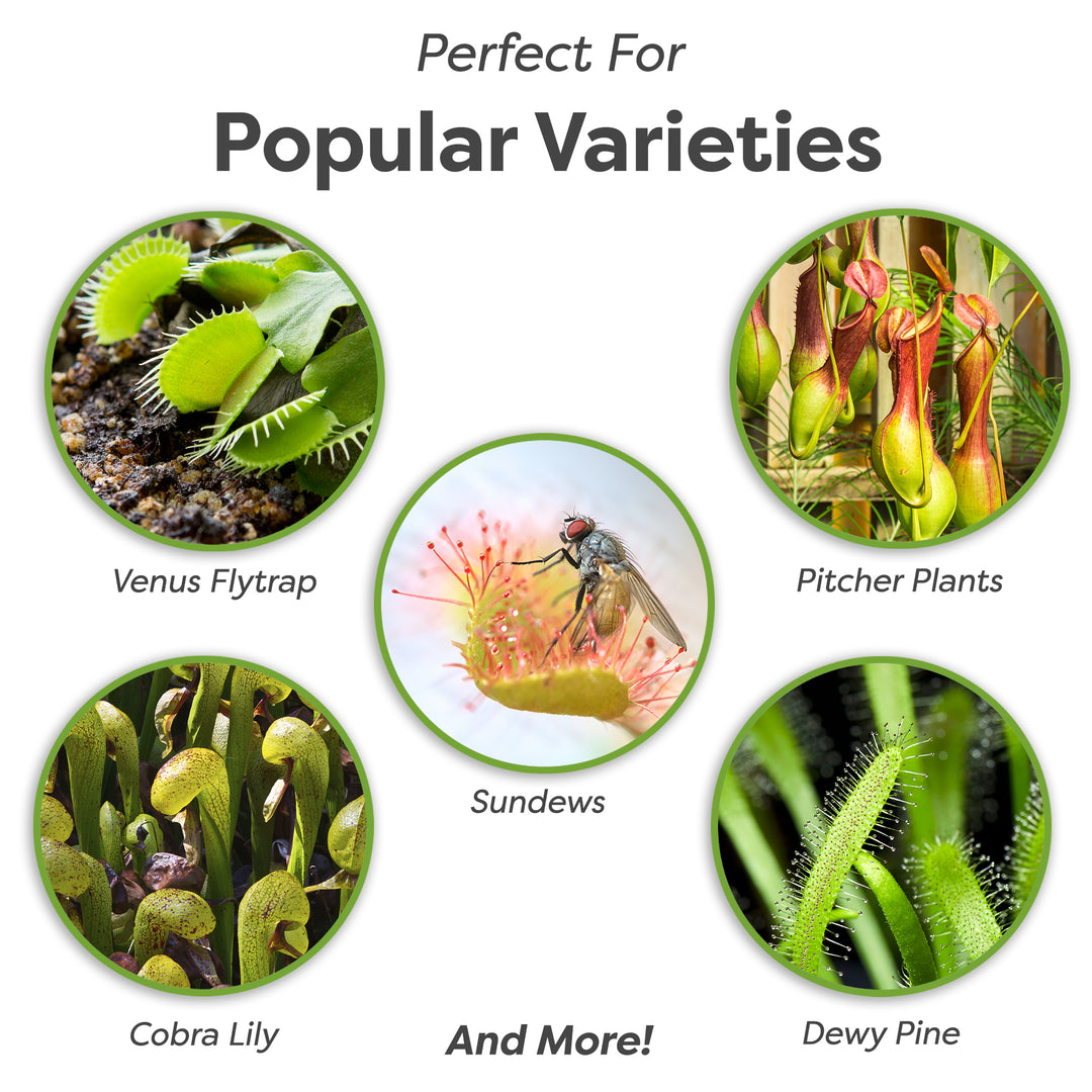 is cactus soil good for venus fly trap Organic Carnivorous Plant Soil Mix - 1 Quart