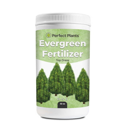 Slow Release Evergreen Fertilizer