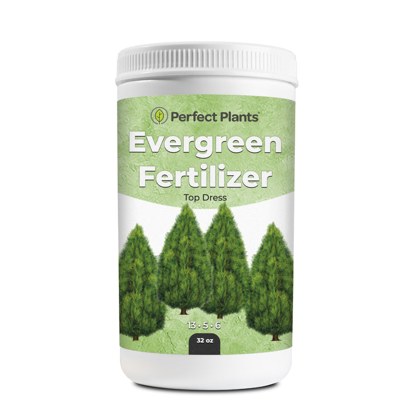 Slow Release Evergreen Fertilizer